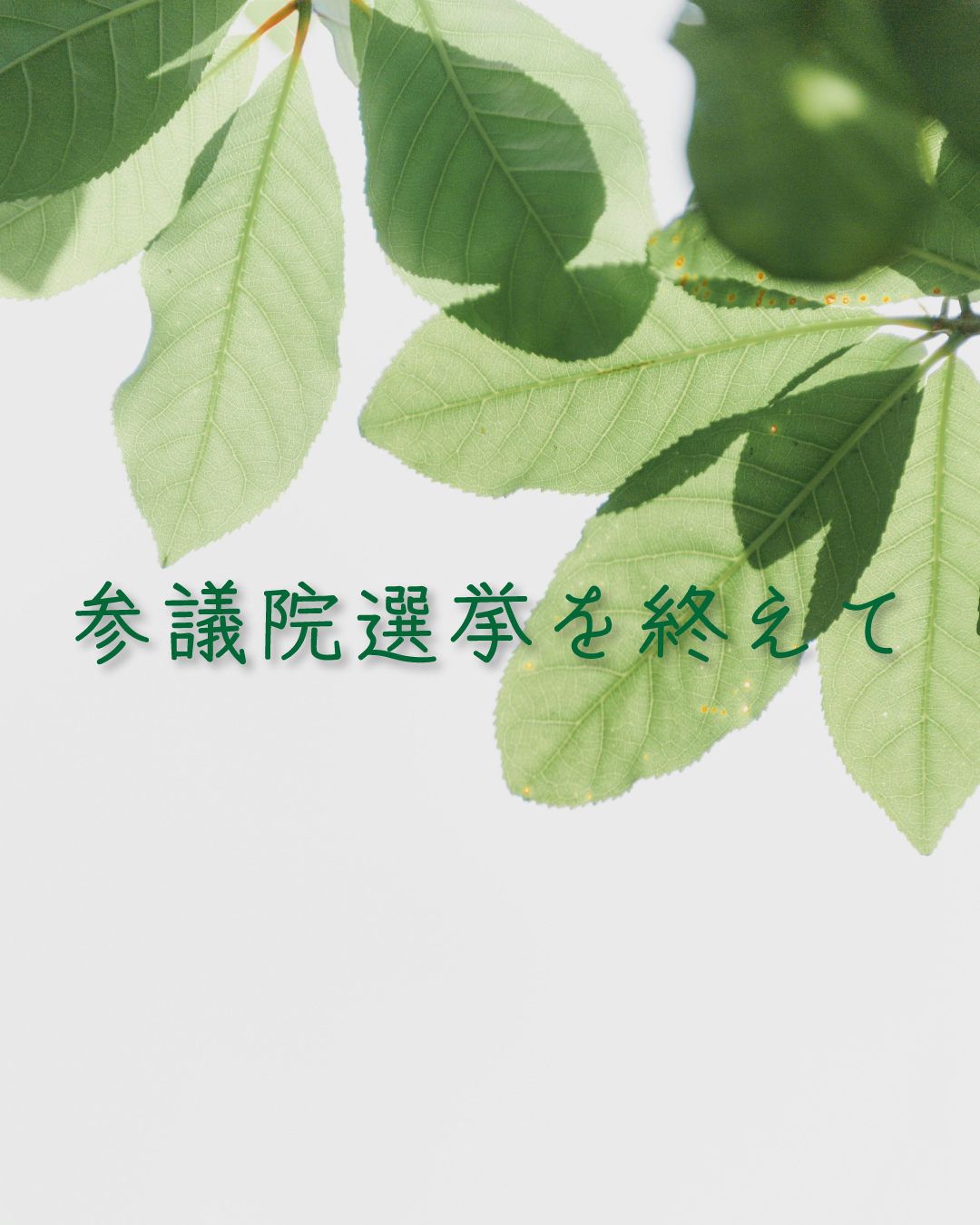 【参議院選挙を終えて】